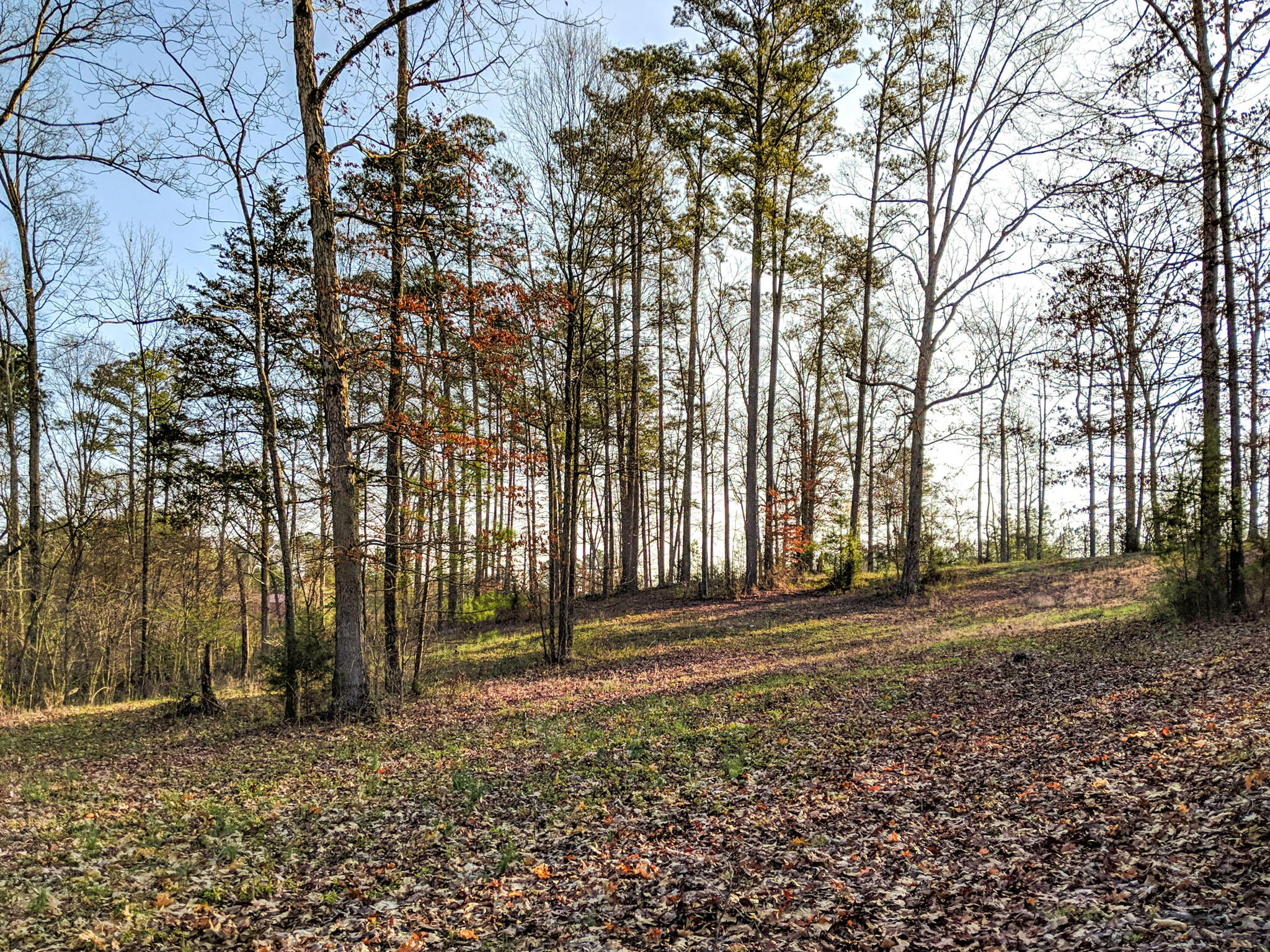 0 Bancroft Road, Unit LOT 13 McDonald, TN 37353 - Photo 30 of 38 aerial 8