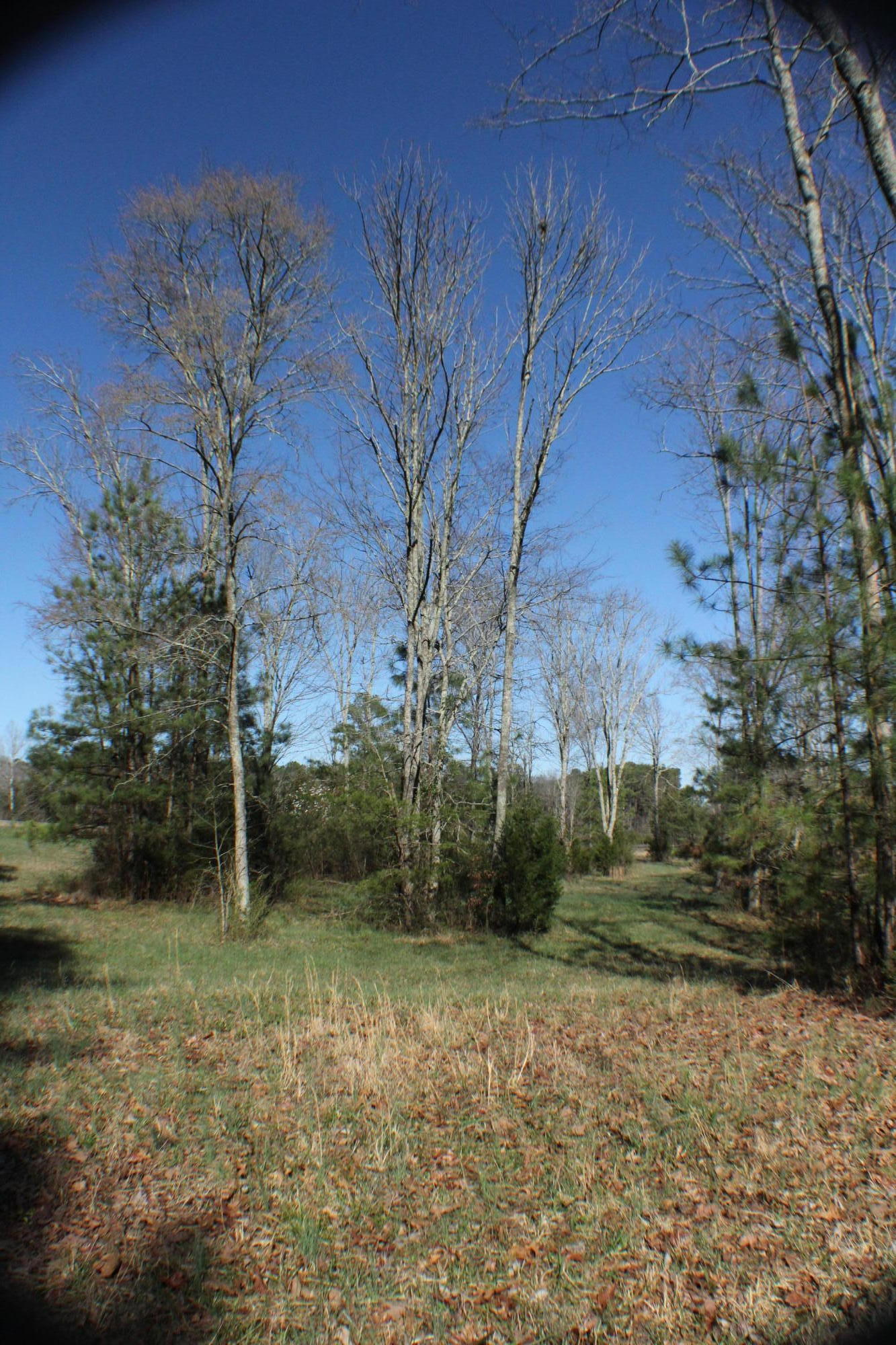 0 Bancroft Road, Unit LOT 13 McDonald, TN 37353 - Photo 3 of 38 IMG_1348