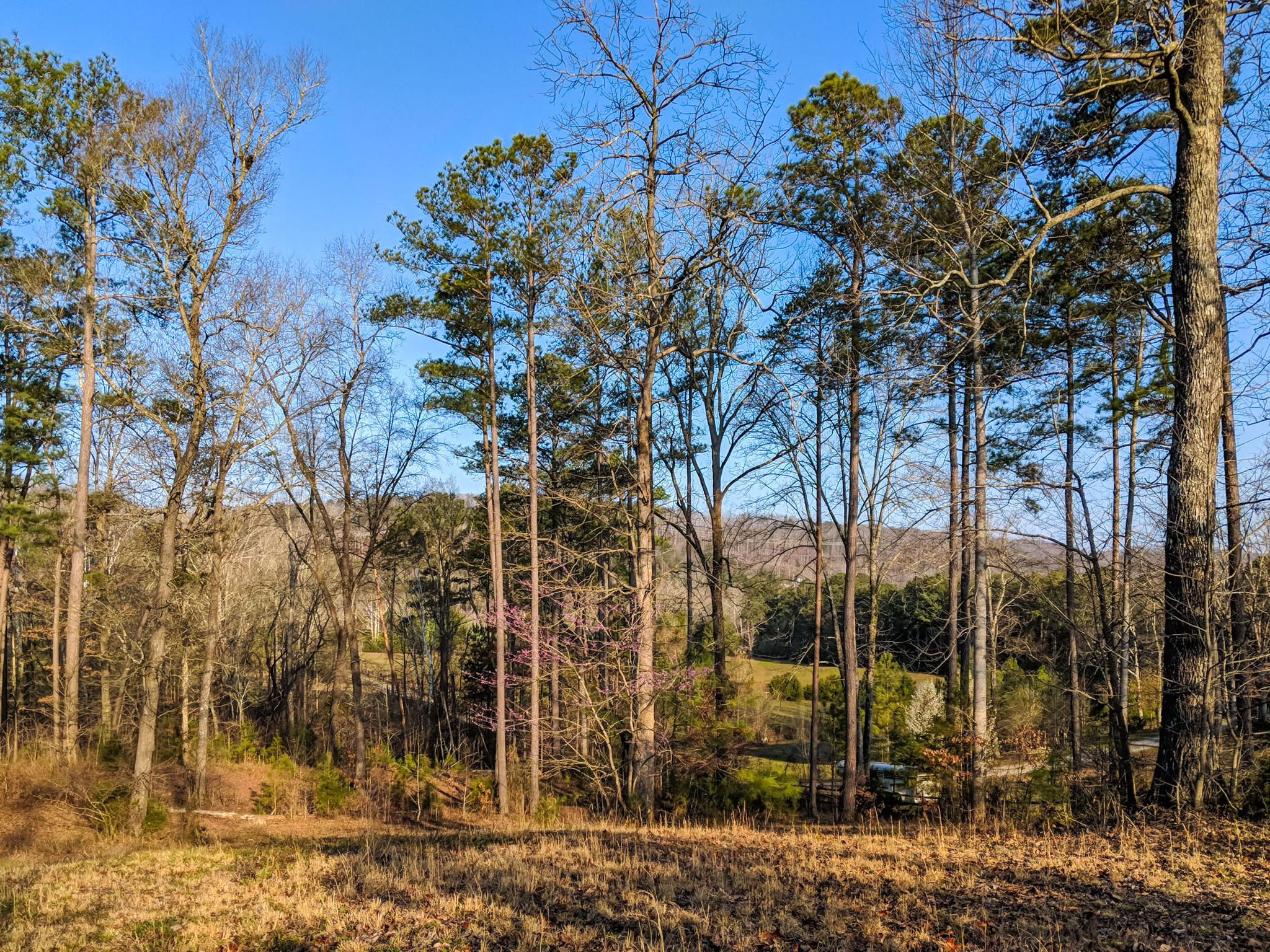 0 Bancroft Road, Unit LOT 13 McDonald, TN 37353 - Photo 38 of 38 aerial 16