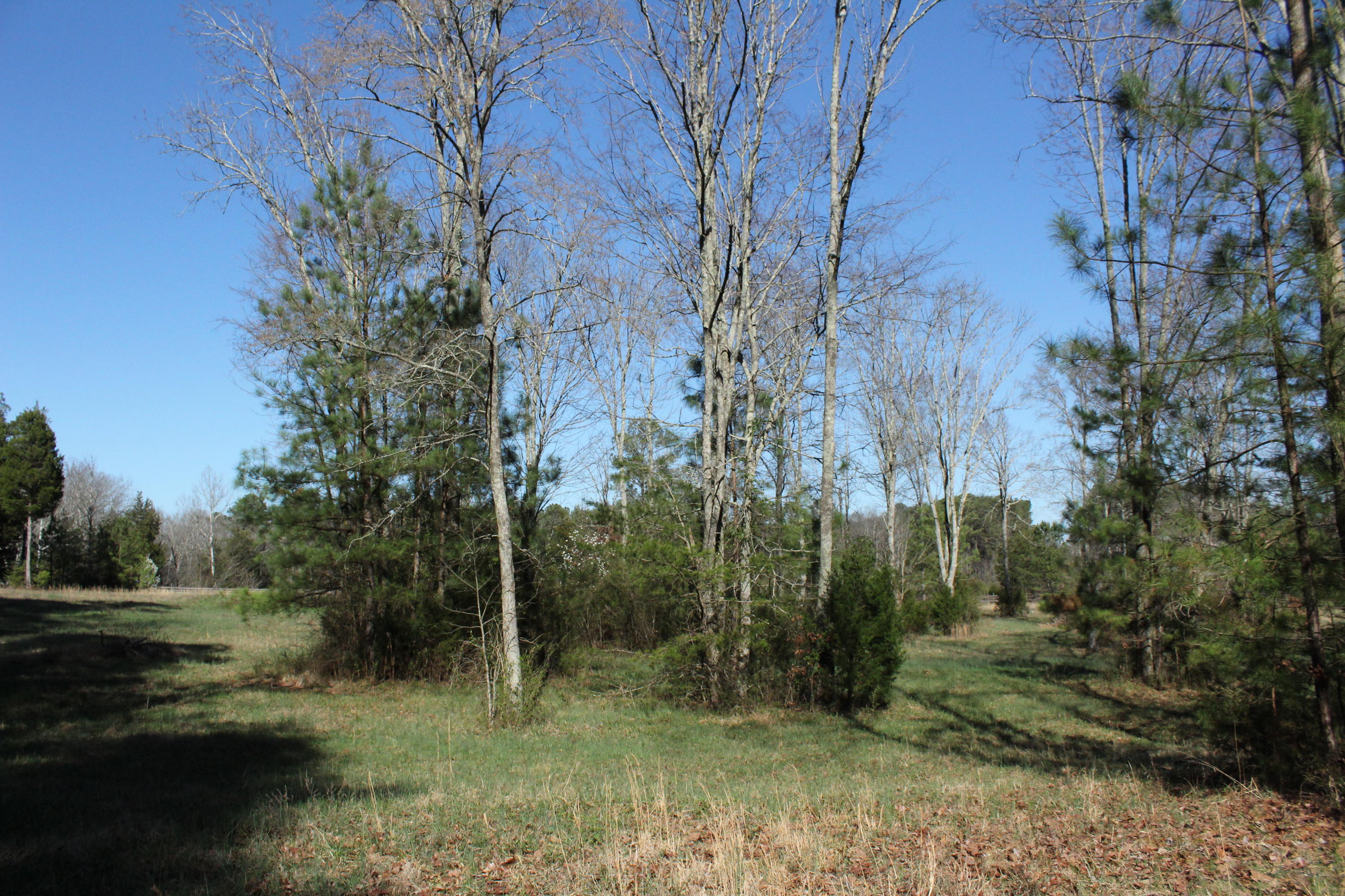 0 Bancroft Road, Unit LOT 13 McDonald, TN 37353 - Photo 4 of 38 IMG_1350