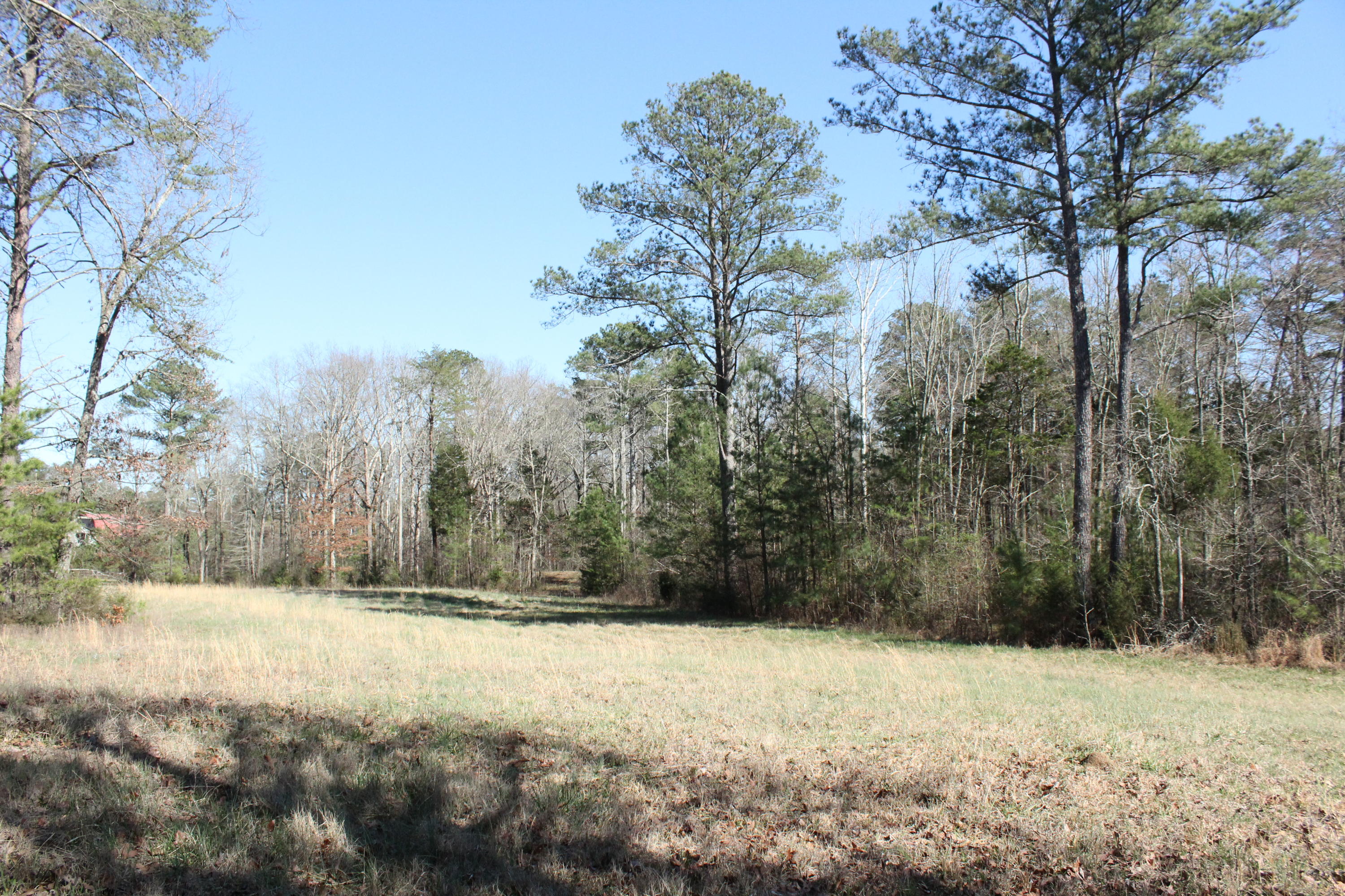 0 Bancroft Road, Unit LOT 13 McDonald, TN 37353 - Photo 6 of 38 IMG_1352