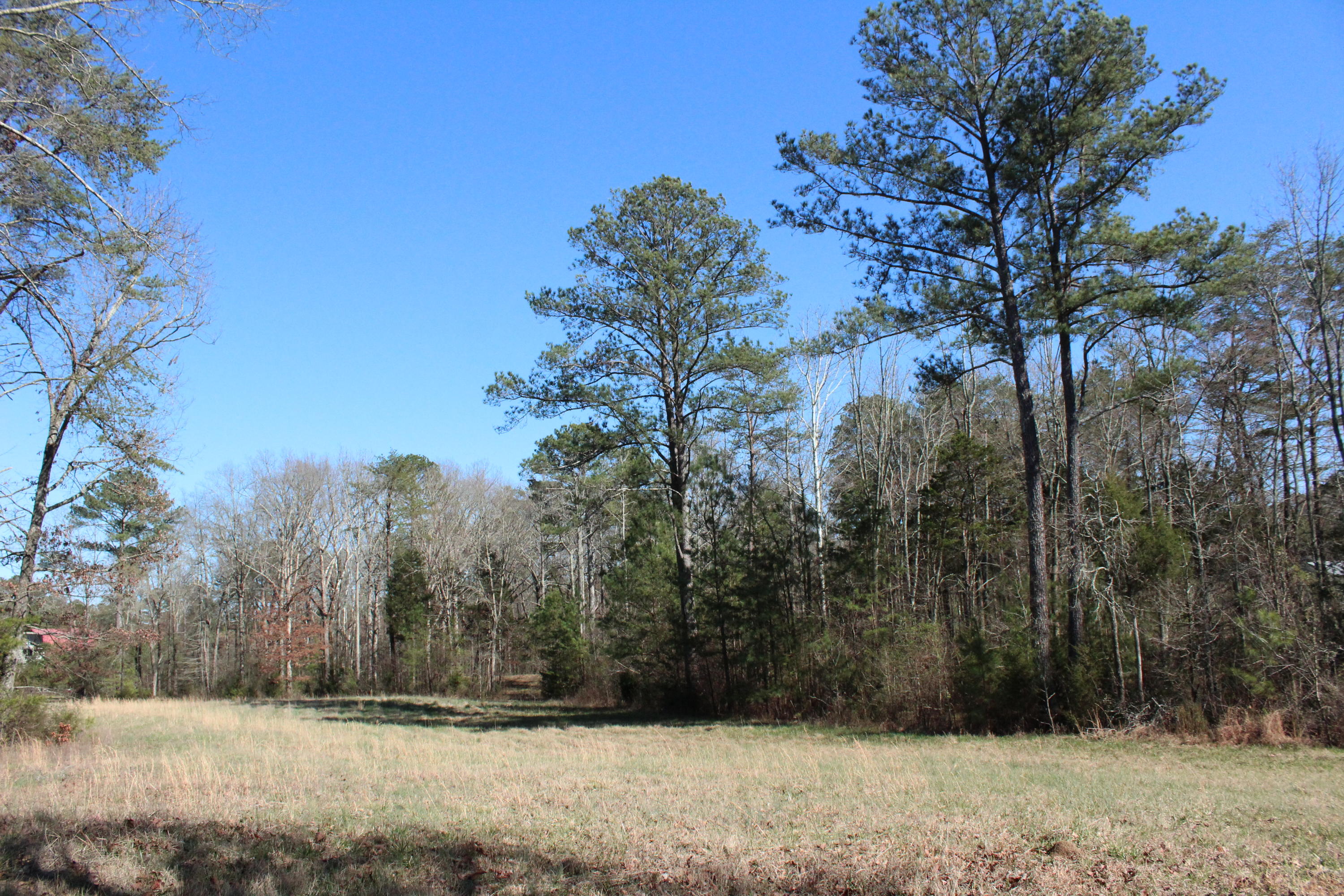0 Bancroft Road, Unit LOT 13 McDonald, TN 37353 - Photo 7 of 38 IMG_1356