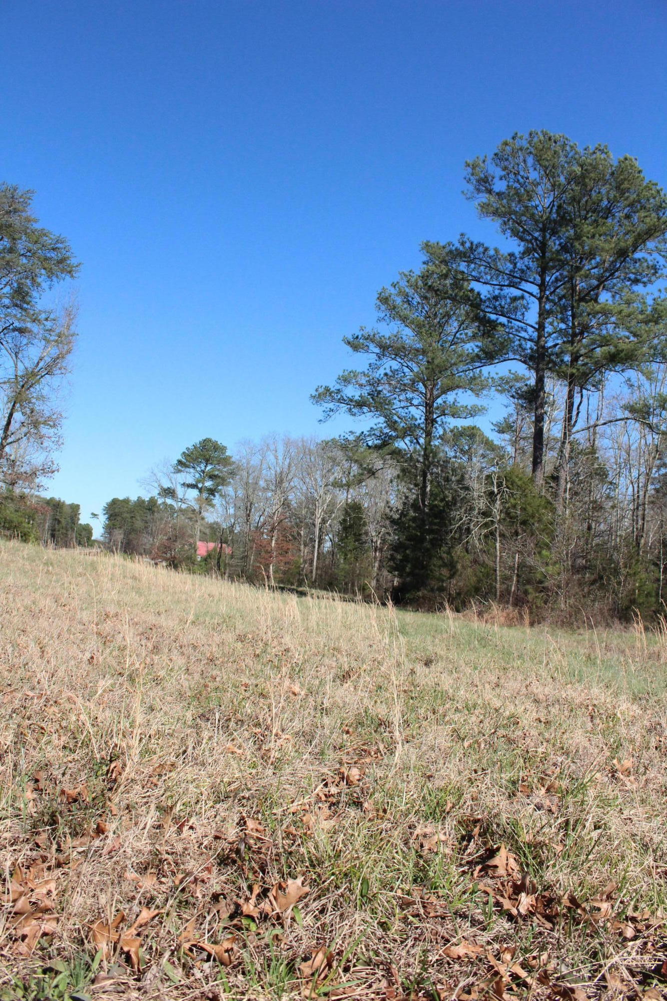 0 Bancroft Road, Unit LOT 13 McDonald, TN 37353 - Photo 8 of 38 IMG_1358