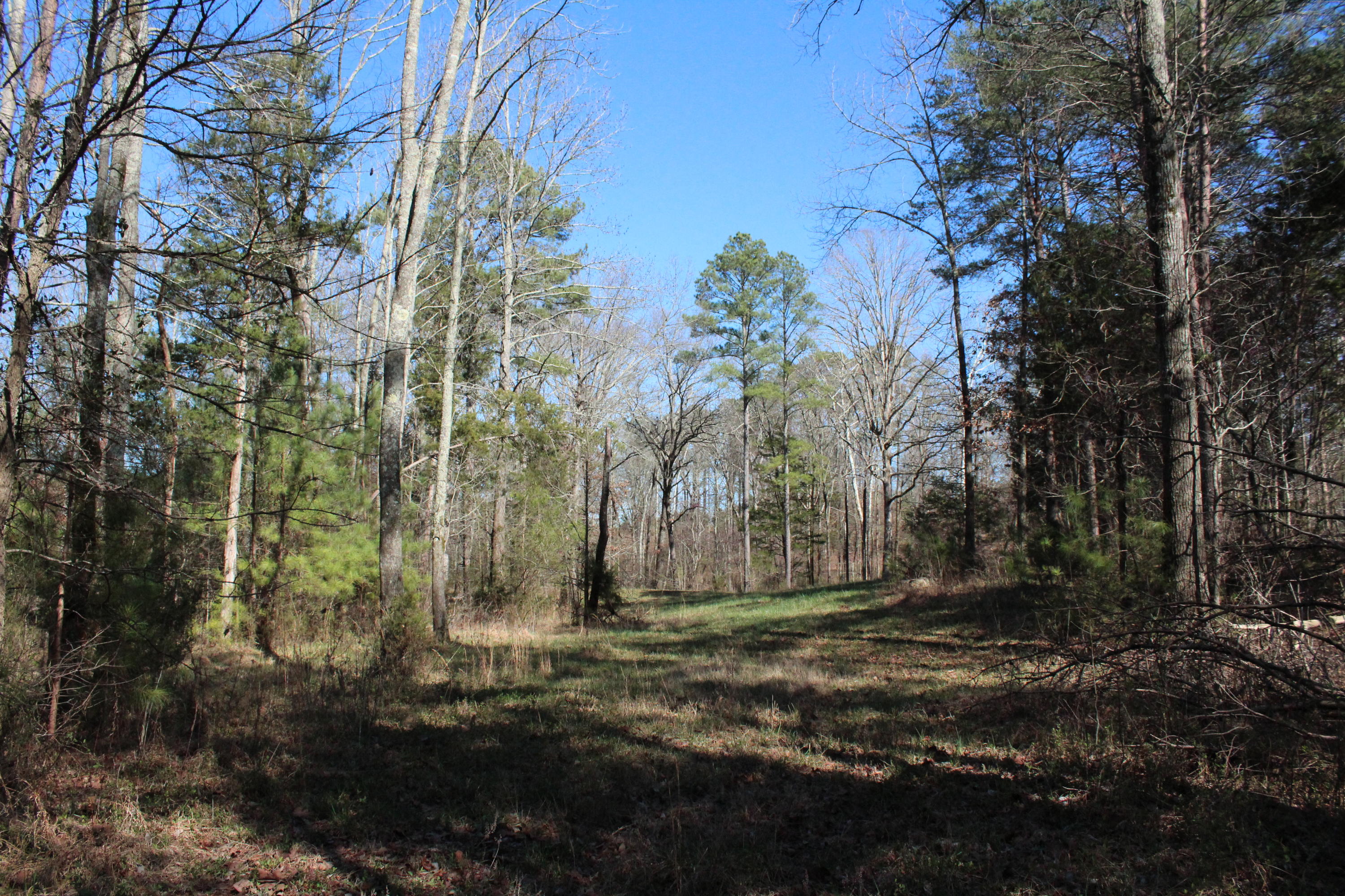 0 Bancroft Road, Unit LOT 13 McDonald, TN 37353 - Photo 9 of 38 IMG_1360
