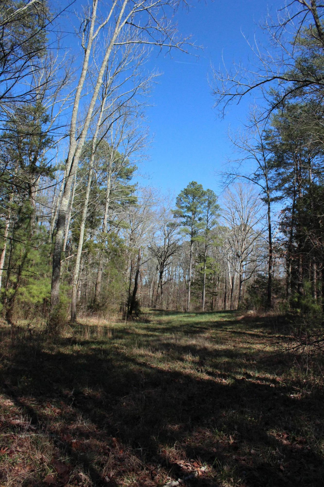 0 Bancroft Road, Unit LOT 13 McDonald, TN 37353 - Photo 10 of 38 IMG_1361