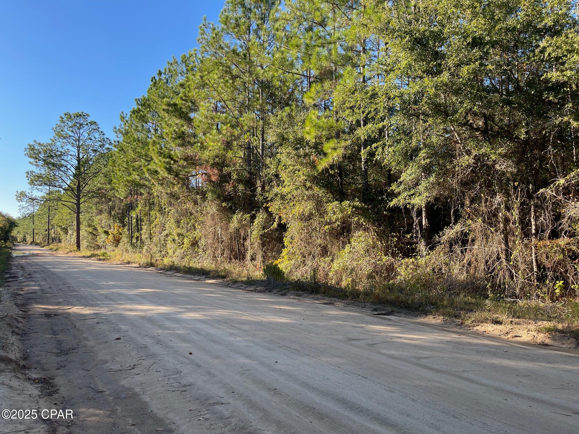 0 Blocker Road Marianna, FL 32446 - Photo 3 of 3