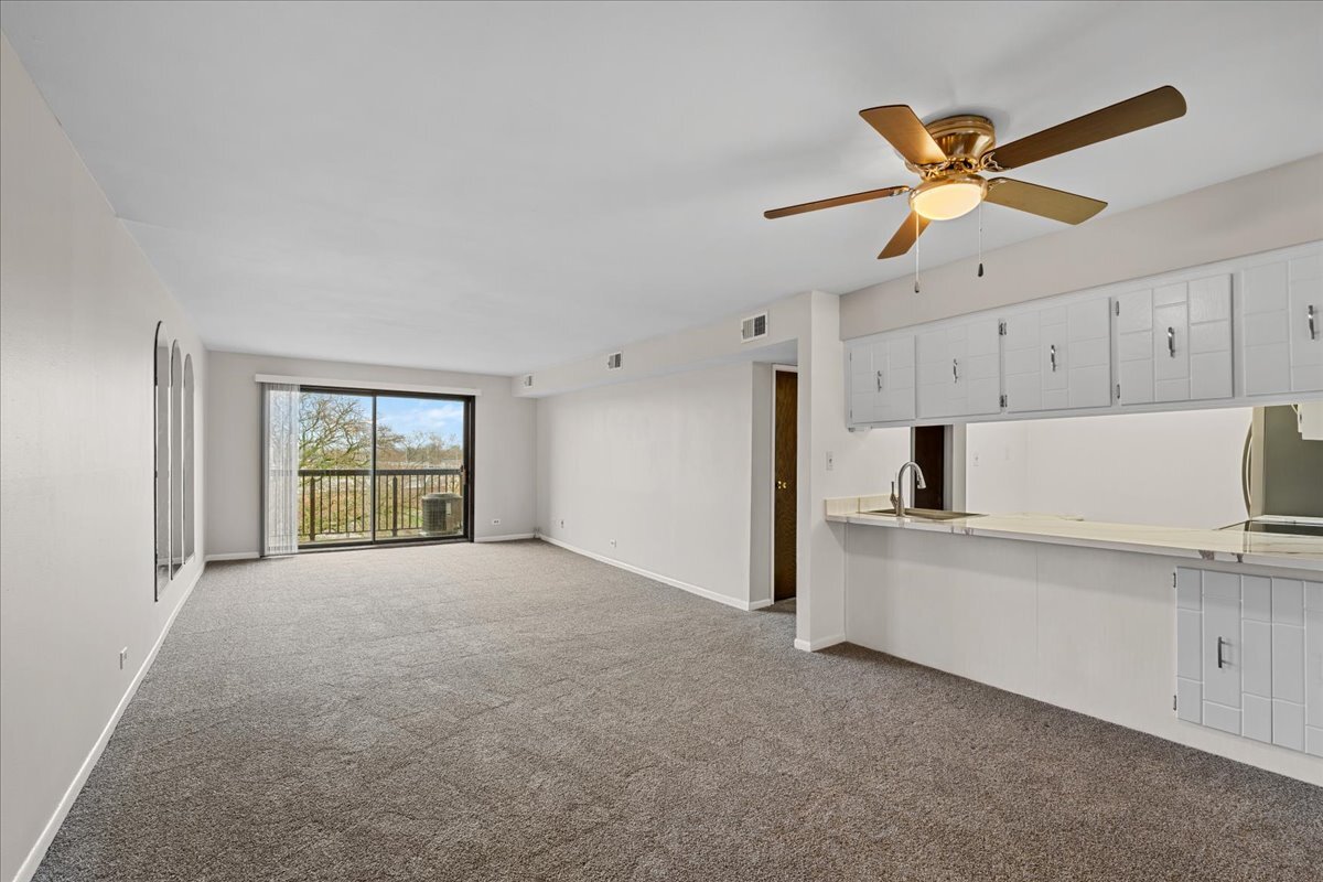 820 Elder Road, Unit C411 Homewood, IL 60430 - Photo 5 of 25