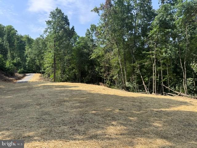 Tbd Locust Grove Road Thornton, WV 26440 - Photo 2 of 24