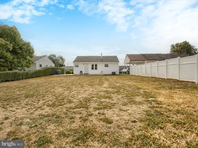 a view of a large tree with a yard
