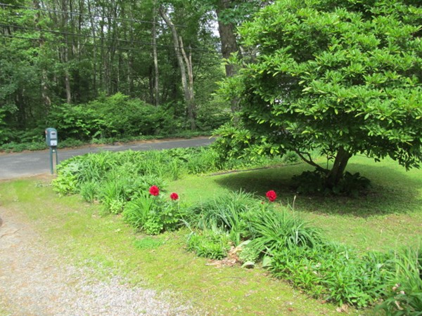 151 Union Road Wales, MA 01081 - Photo 7 of 12 a view of a garden with plants and a fountain