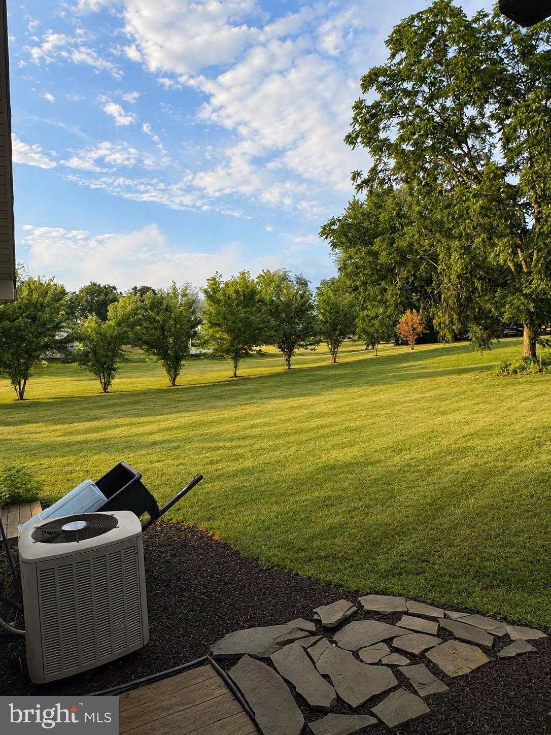 1686 Mapledale Road Elizabethtown, PA 17022 - Photo 40 of 41 Serene backyard with lush greenery.