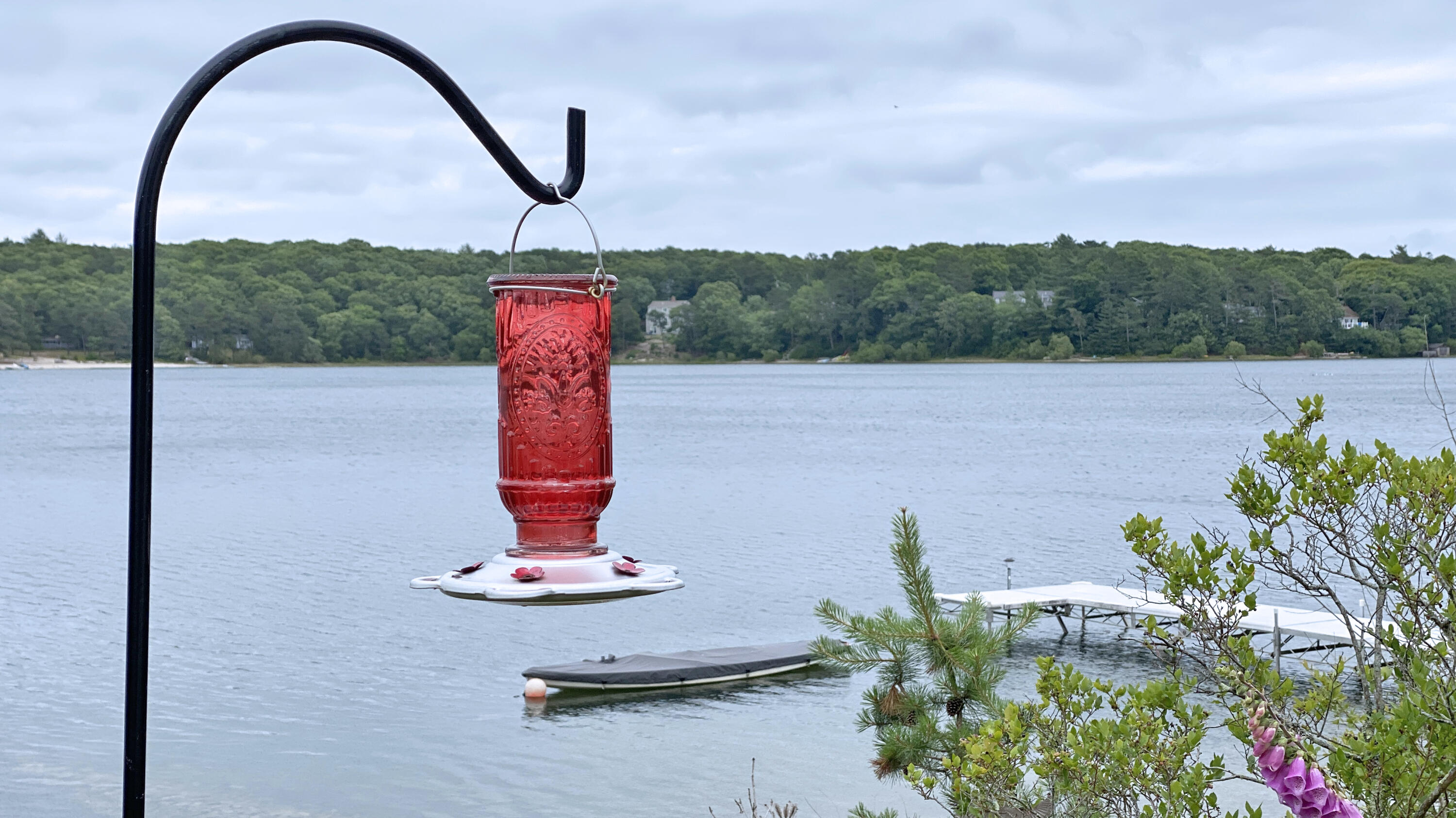 2 Old Snake Pond Road Forestdale, MA 02644 - Photo 17 of 83 Lake