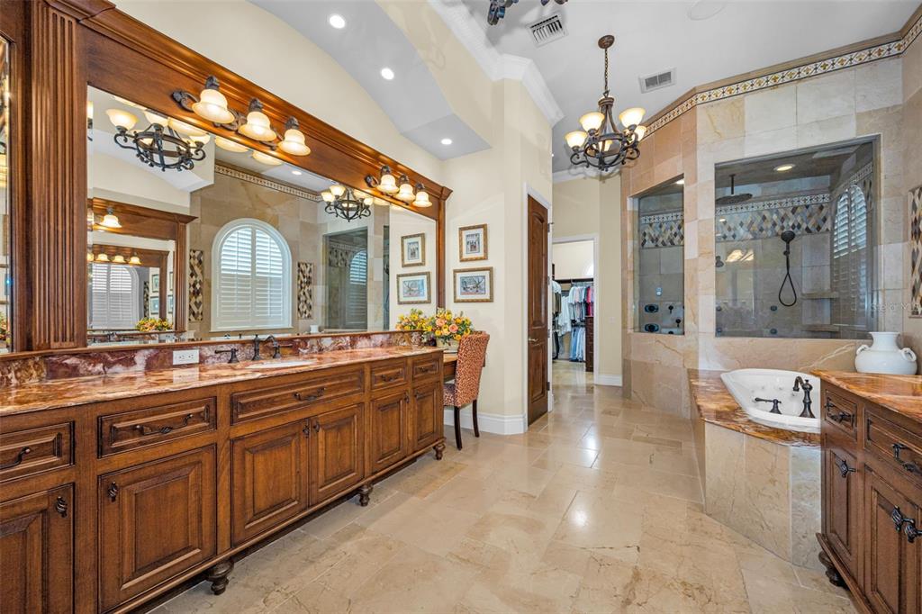 10031 Milano Drive Trinity, FL 34655 - Photo 47 of 100
