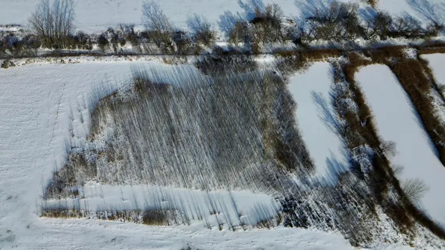 $185,000 | V/l Cade Road, Imlay City, MI 48444