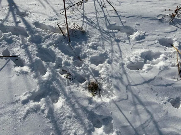 $185,000 | V/l Cade Road, Imlay City, MI 48444