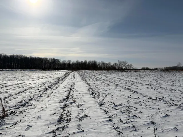 $185,000 | V/l Cade Road, Imlay City, MI 48444