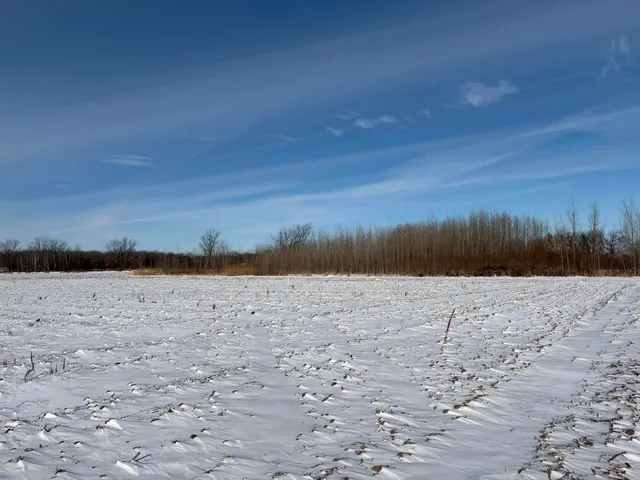 $185,000 | V/l Cade Road, Imlay City, MI 48444