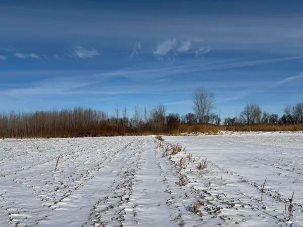 $185,000 | V/l Cade Road, Imlay City, MI 48444