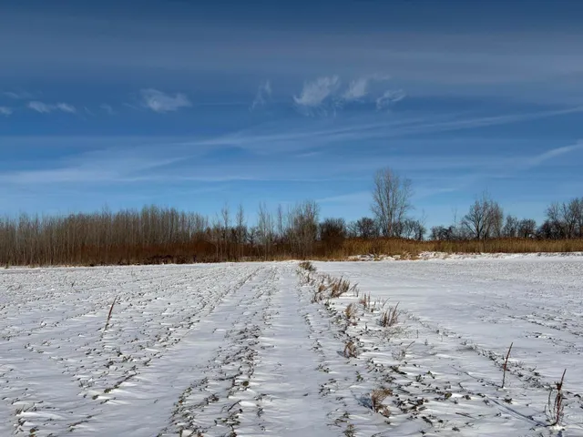 $185,000 | V/l Cade Road, Imlay City, MI 48444