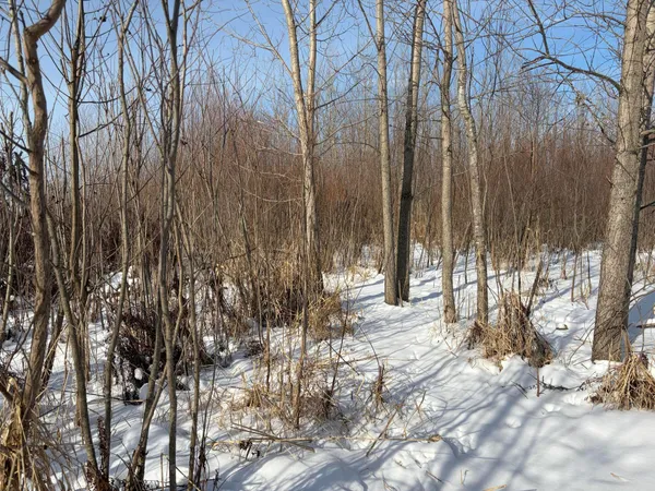 $185,000 | V/l Cade Road, Imlay City, MI 48444