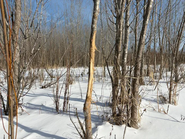 $185,000 | V/l Cade Road, Imlay City, MI 48444