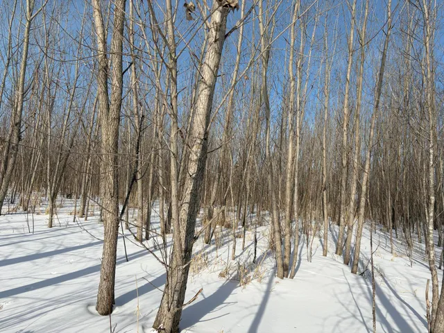 $185,000 | V/l Cade Road, Imlay City, MI 48444