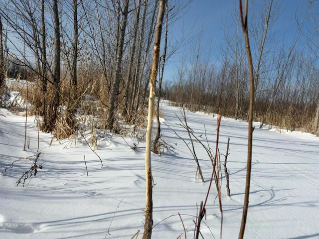 $185,000 | V/l Cade Road, Imlay City, MI 48444