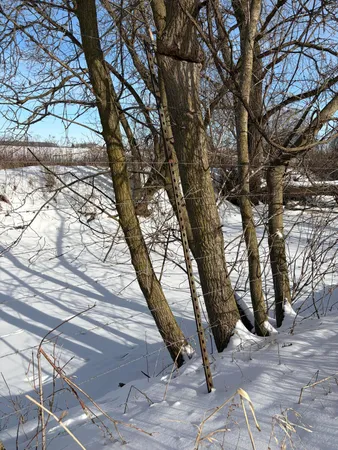 $185,000 | V/l Cade Road, Imlay City, MI 48444