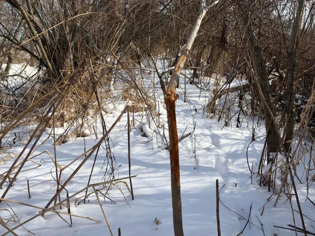 $185,000 | V/l Cade Road, Imlay City, MI 48444