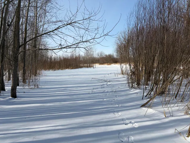 $185,000 | V/l Cade Road, Imlay City, MI 48444