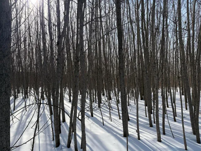 $185,000 | V/l Cade Road, Imlay City, MI 48444