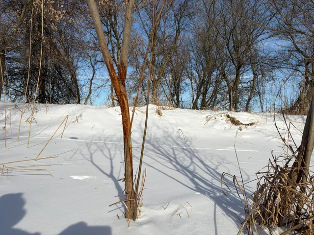 $185,000 | V/l Cade Road, Imlay City, MI 48444