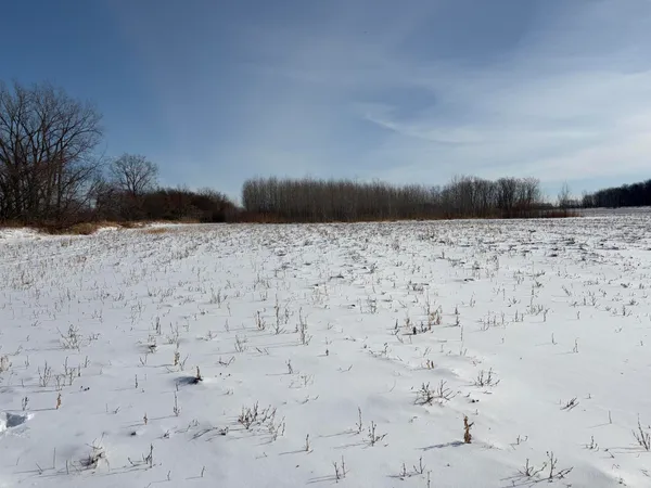 $185,000 | V/l Cade Road, Imlay City, MI 48444