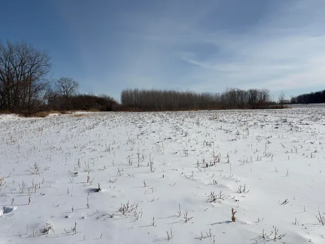 $185,000 | V/l Cade Road, Imlay City, MI 48444