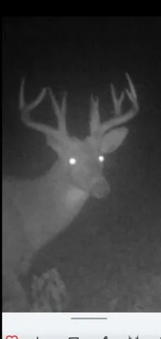 $185,000 | V/l Cade Road, Imlay City, MI 48444