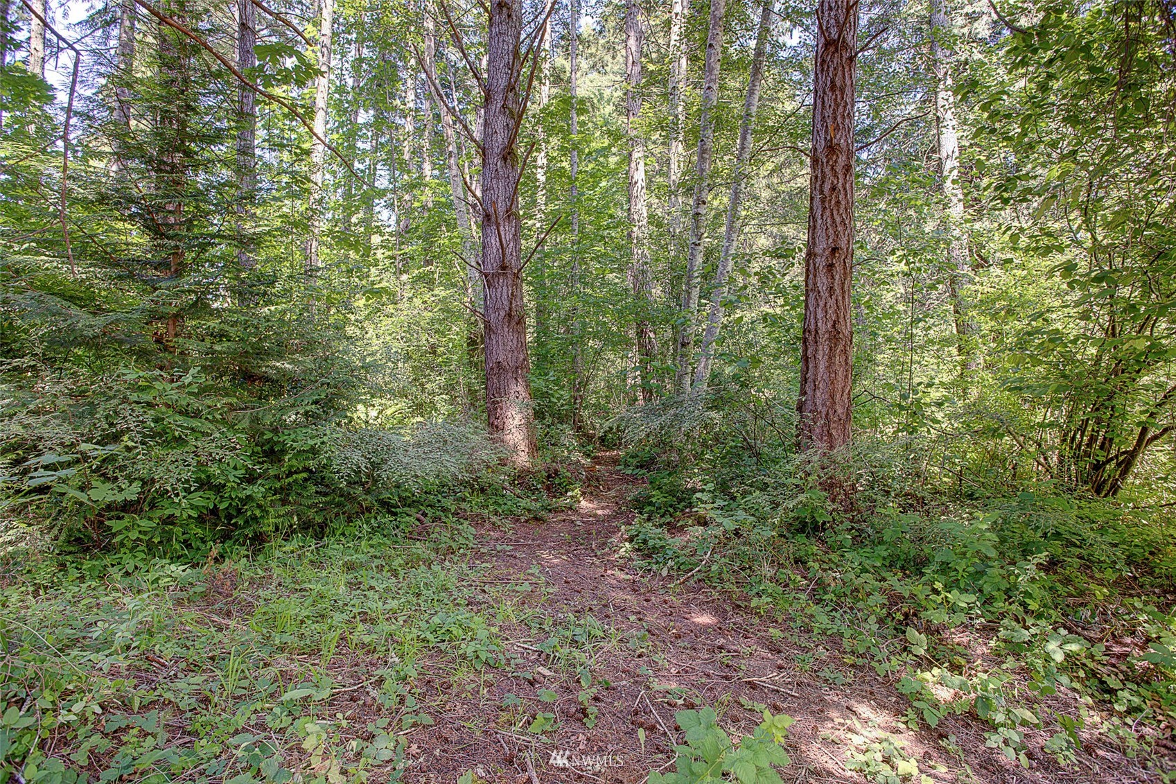 20 Wolf Road Quilcene, WA 98376 - Photo 13 of 39 Gallery Image 13
