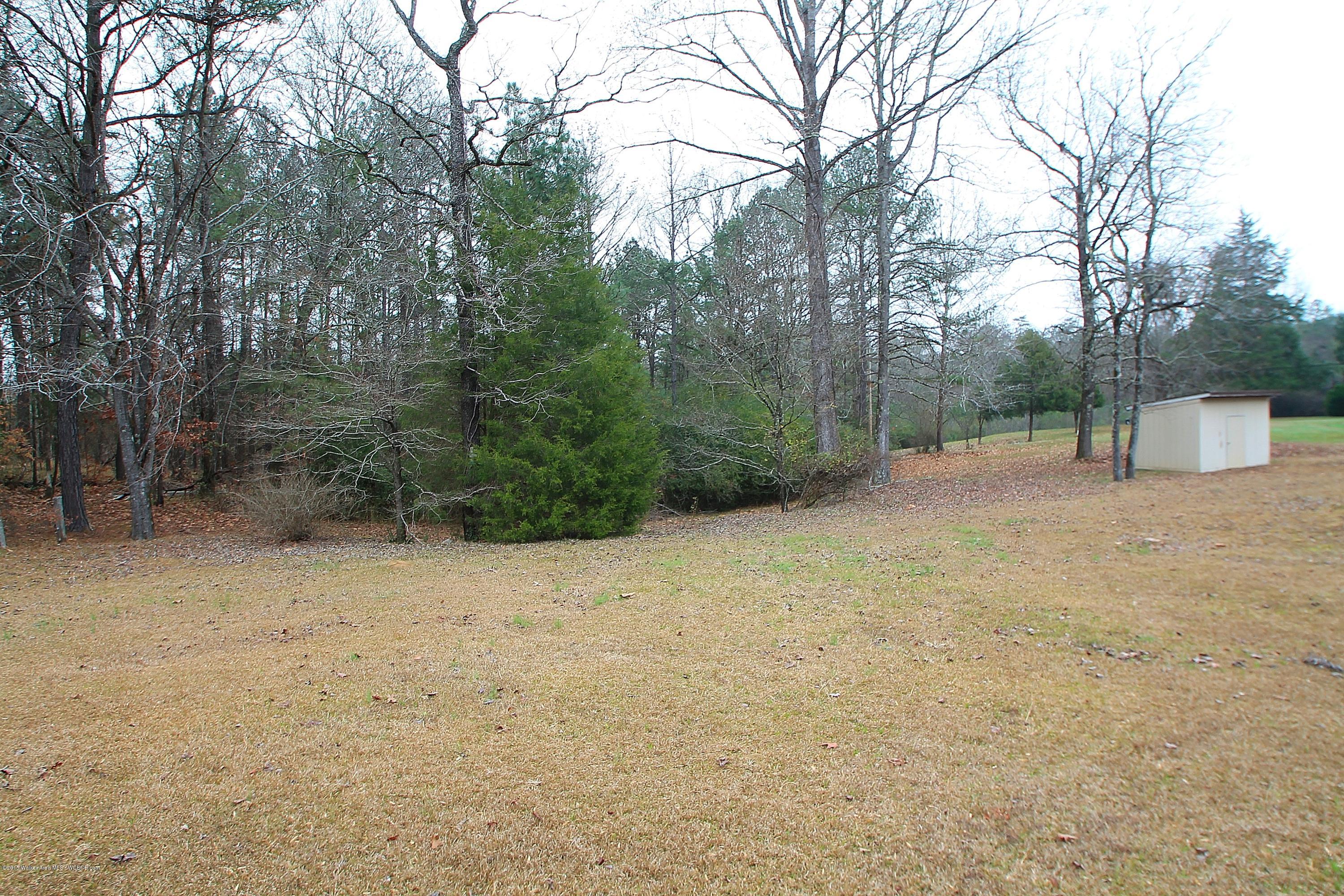 6258 Holly Grove Road Jasper, AL 35501 - Photo 4 of 13 Gallery Image 4