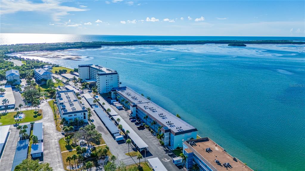 7 Dunoon Place, Unit 306 Dunedin, FL 34698 - Photo 6 of 39