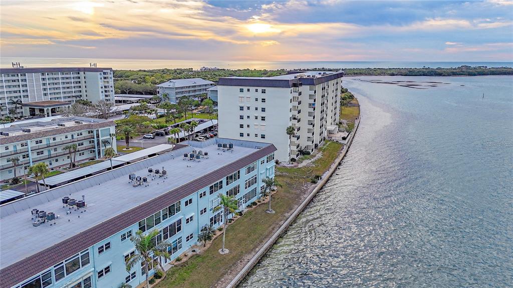 7 Dunoon Place, Unit 306 Dunedin, FL 34698 - Photo 7 of 39