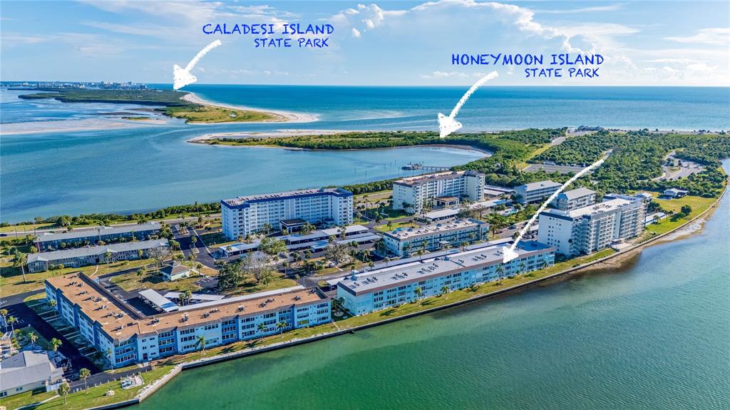 7 Dunoon Place, Unit 306 Dunedin, FL 34698 - Photo 8 of 39