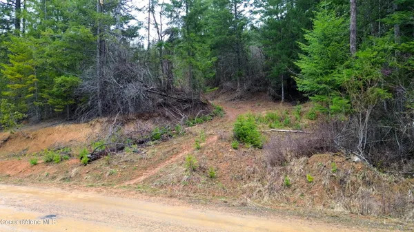 $124,500 | Nna Nna Winchester Ln Street, St. Maries, ID 83861