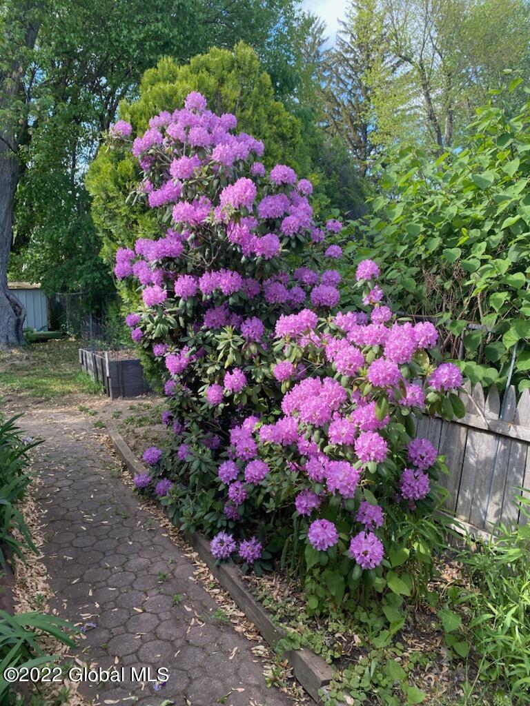 131 Clayton Road Schenectady, NY 12304 - Photo 29 of 34 summer blooms