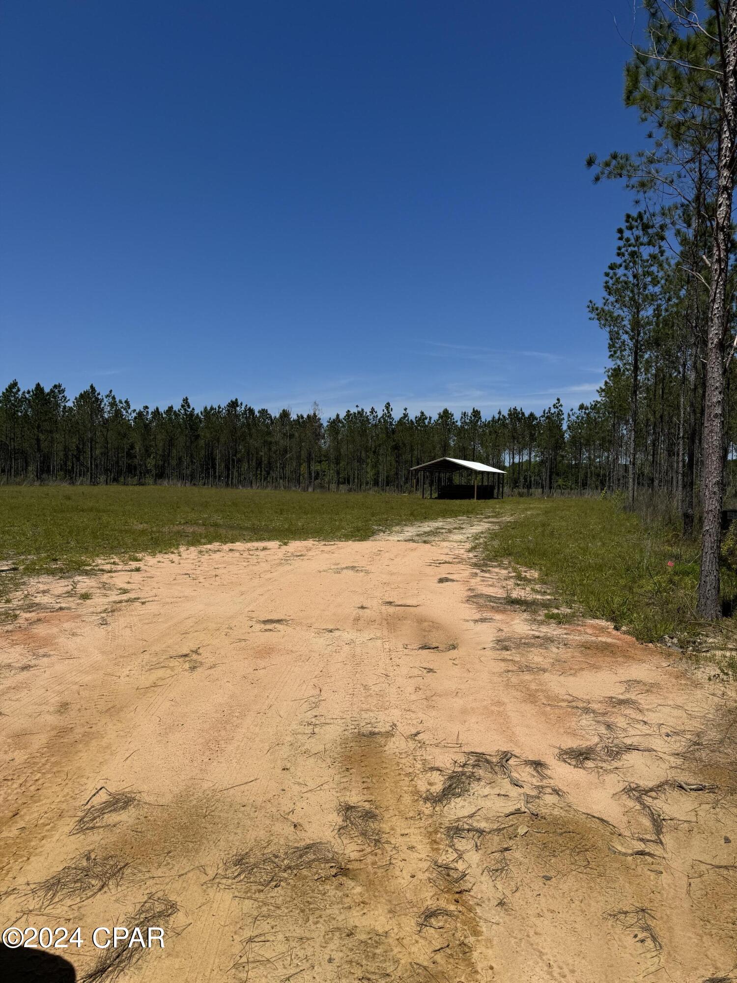 1530 Old Bonifay Road Chipley, FL 32428 - Photo 4 of 7 Gallery Image 4