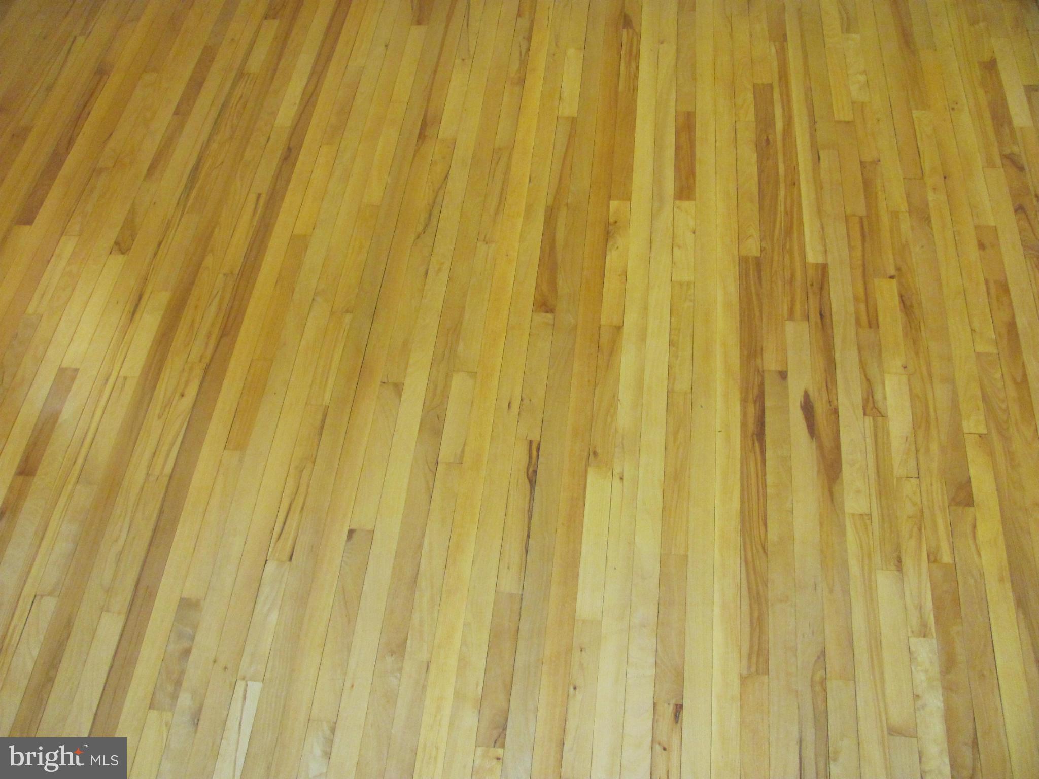 8306 Edgedale Road Baltimore, MD 21234 - Photo 3 of 27 Interior (General)