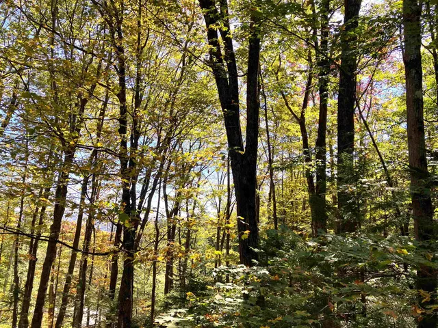 $449,000 | 8 Little Bend, Unit M175, Wilmington, VT 05363