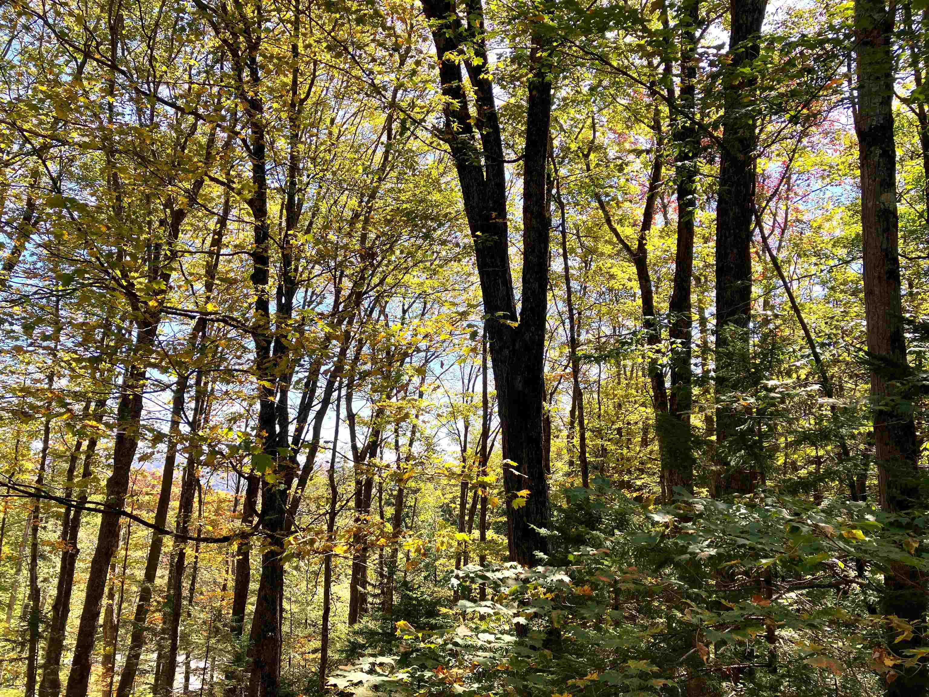 8 Little Bend, Unit M175 Wilmington, VT 05363 - Photo 2 of 60