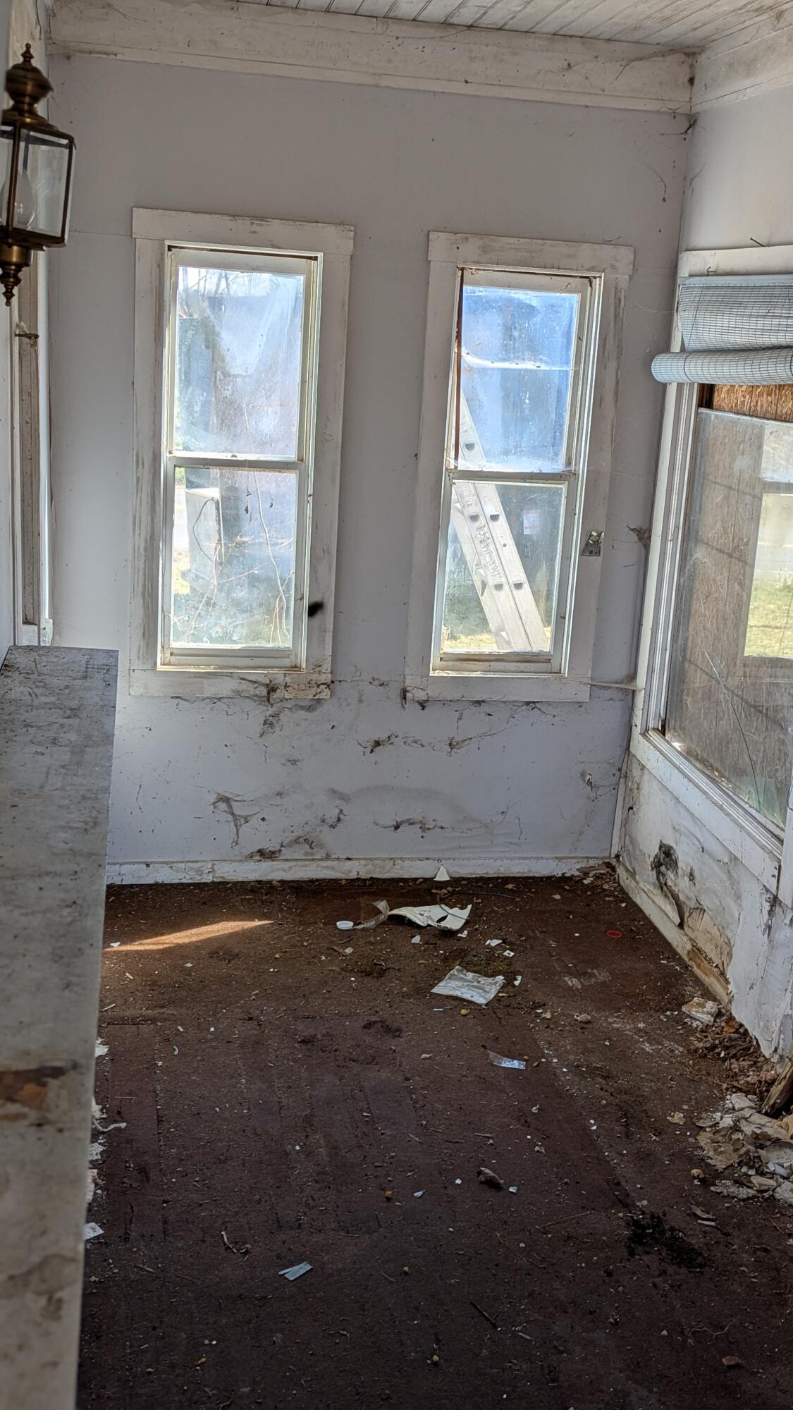 19 Lubec Road Whiting, ME 04691 - Photo 25 of 38 PXL_20250423_134650655.PORTRAIT