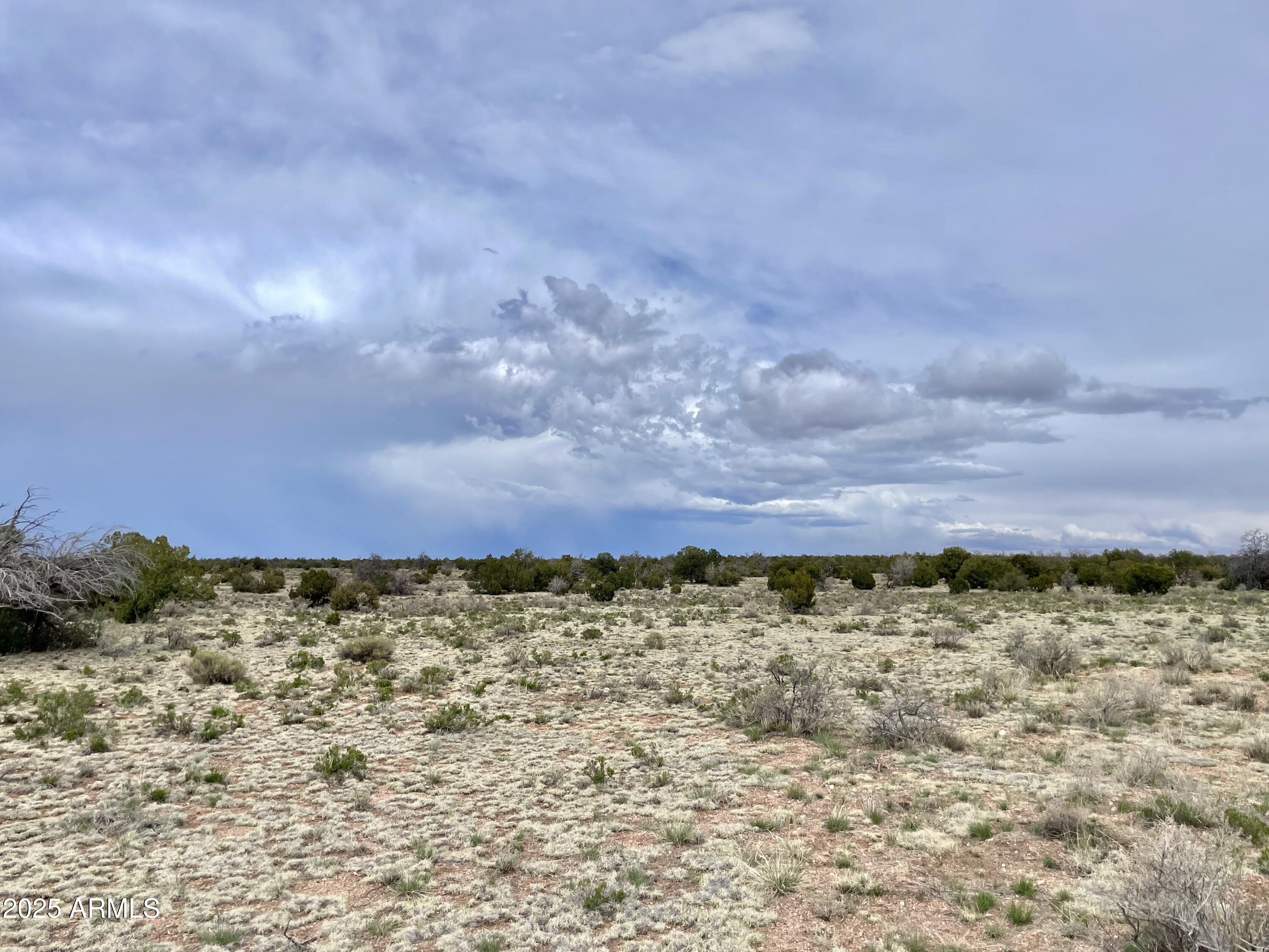 3998 Red Butte Road, Unit 161 Williams, AZ 86046 - Photo 15 of 20 a view of lake with mountain in the background