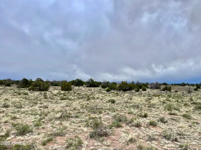 a view of lake and mountain