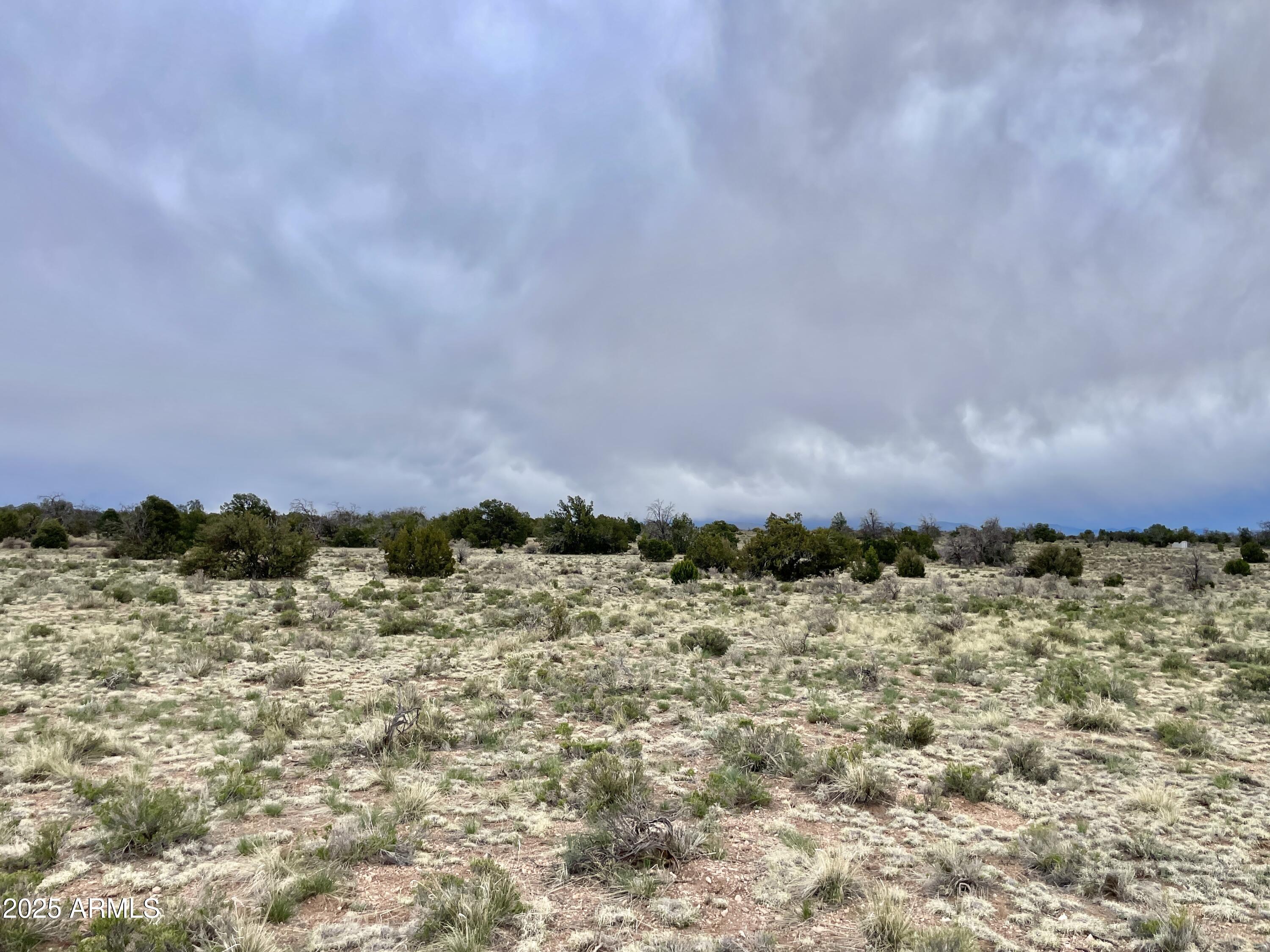 3998 Red Butte Road, Unit 161 Williams, AZ 86046 - Photo 6 of 20 a view of a yard of mountains and valleys